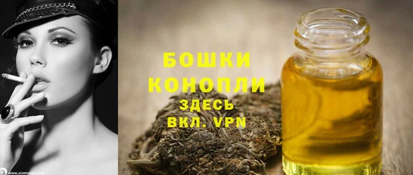 PSILOCYBIN Армянск