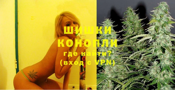 PSILOCYBIN Армянск