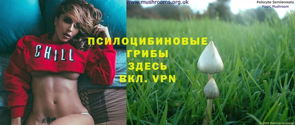 PSILOCYBIN Армянск
