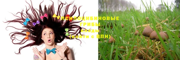 герыч Арсеньев